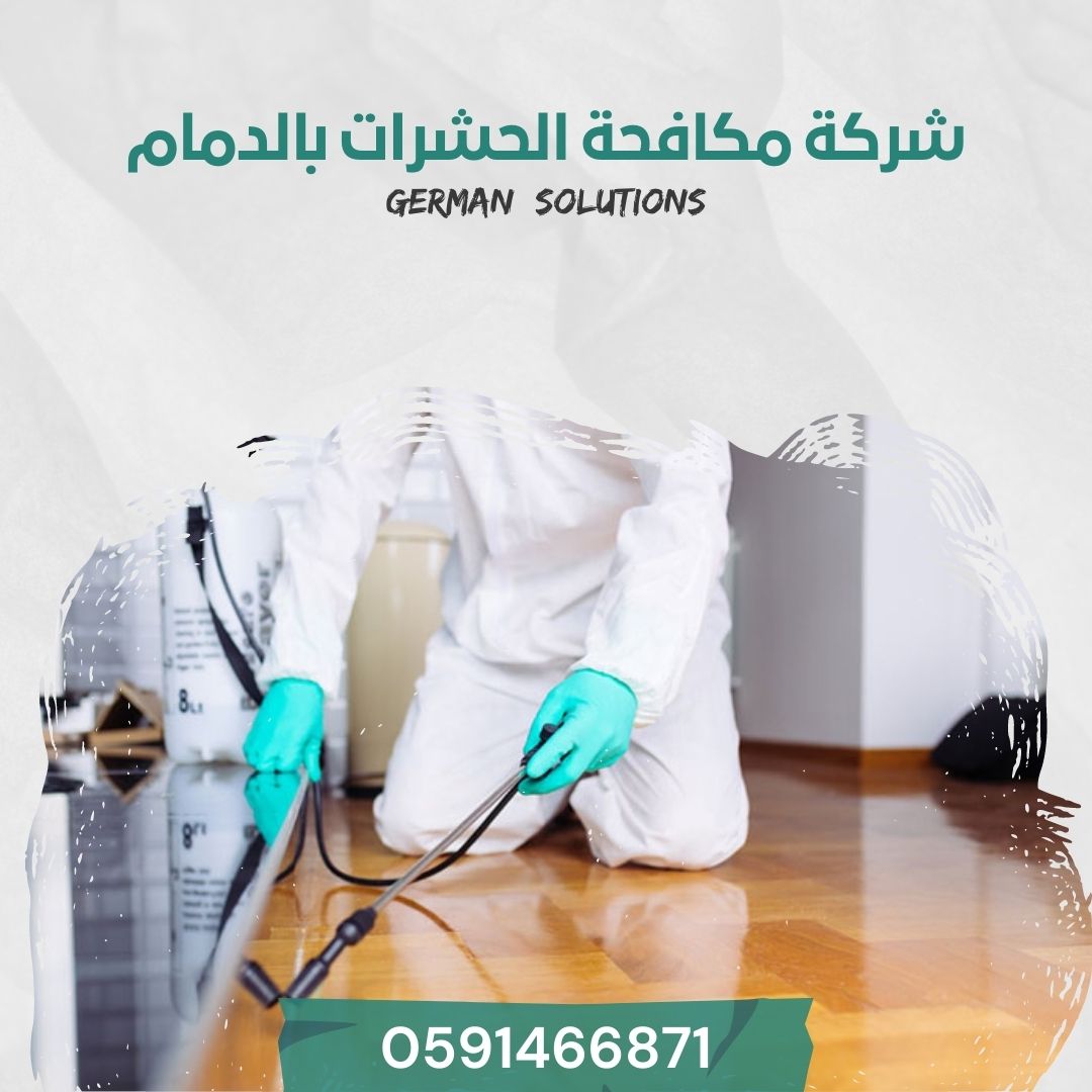 شركة مكافحة حشرات بالدمام  title=